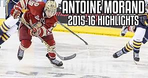 Antoine Morand | 2015-16 Highlights | Acadie-Bathurst Titan