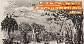 L’Afrique fait face à l’extinction de ses plus emblématiques baobabs