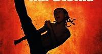 DOWNLOAD The Karate Kid (2010) | Download Hollywood Movies - Nkiri .com