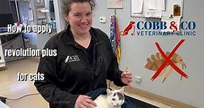 How to Apply Revolution Plus Topical for Cats: Step by Step | Cobb & Co. Veterinary Clinic