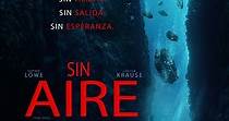 The Dive - película: Ver online completas en español