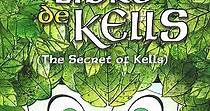El secreto del libro de Kells - película: Ver online