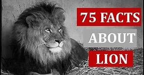75 Interesting Facts About Lion | Animal Globe