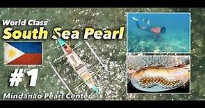 Philippine South Sea Pearl: by Mindanao Pearl Center