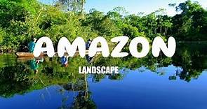 Amazonia Peruana - Paisajes | Amazon landscape
