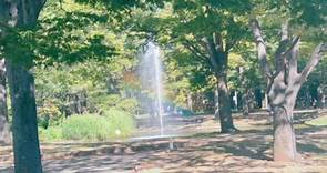 東京代代木公園優美湖畔十分悠閒快活