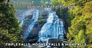 Facts About DuPont State Forest