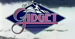 Remembering some of the cast from this classic tv show 🤭The New Gidget 1986🤣