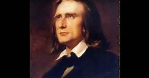 Franz Liszt Hungarian Rhapsody no 2 The Perfect Version