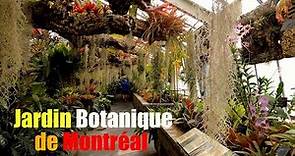 Jewellery of Earth Plants Life | Complete Tour of Montreal Botanical Garden | Indoor greenhouses
