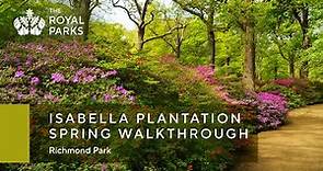 Isabella Plantation in Richmond Park spring walkthrough | The Royal Parks