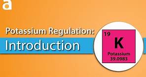 Potassium Regulation: Introduction