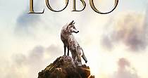 El último lobo - película: Ver online en español