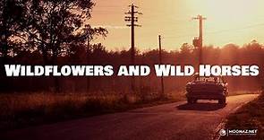 Wildflowers and Wild Horses (Single Version) (Lyrics) - Lainey Wilson | Road Radio