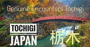 Tochigi Prefecture, Japan: A Journey Through Culture, Nature, and History