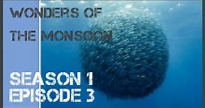 Wonders Of The Monsoon season 1 episode 3 s1e3