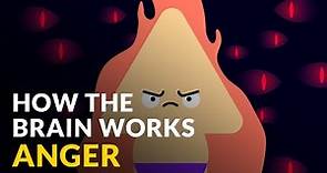 How The Brain Works With Anger