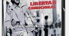 Libertad provisional (1976) Online - Película Completa en Español - FULLTV
