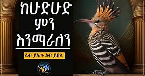 ከሁድሁድ ምን እንማራለን ? || @ElafTube || ልብ ያለው ልብ ይበል