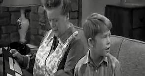 The Andy Griffith Show season 5 Episode 11