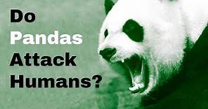 Do Pandas Attack Humans?