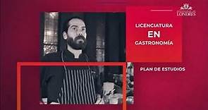 Conoce más acerca del Plan de Estudios de la LICENCIATURA EN GASTRONOMÍA Universidad de Londres.