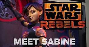 Meet Sabine, the Explosive Artist | Star Wars Rebels