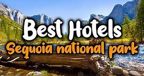 Best Hotels In Sequoia National Park - For Families, Couples, Work Trips, Luxury & Budget