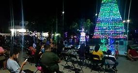 Encienden árbol de navidad en Puerto Escondido