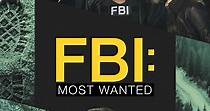 FBI: Most Wanted Season 5 - watch episodes streaming online