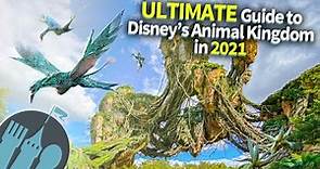 The Ultimate Guide to Disneys Animal Kingdom in 2021!