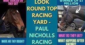 LOOK ROUND TOP RACING YARD | PAUL NICHOLLS | Behind the scenes