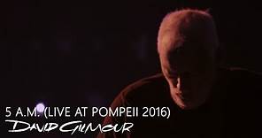 David Gilmour - 5 A.M. (Live At Pompeii)