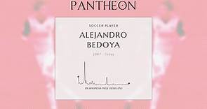 Alejandro Bedoya Biography - American soccer player