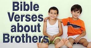 Bible Verses about Brothers and Sisters l Bible Quotes on Brotherhood