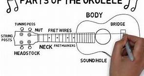 Parts of the ukulele