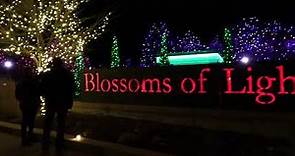 Virtual walk through the Denver Botanic Garden's Blossoms of Light