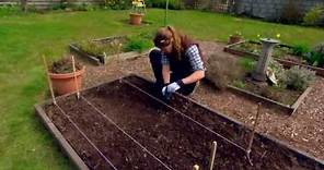 Le potager -- Conseils de jardinage
