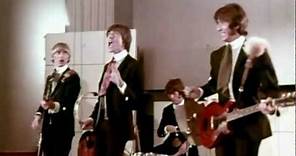 The Primitives - Yeeeeeeh ! - 1967