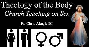 Theology of the Body: Church Teaching on Sex - Explaining the Faith