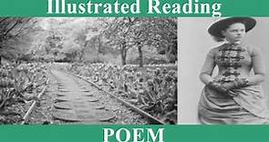 "PATTERNS" - Amy Lowell - 1921 - Illustrated Poetry Reading
