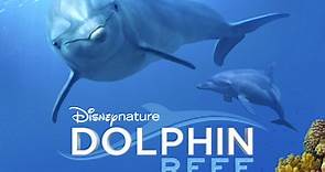 【纪录片原声】【海豚礁】【OST】Dolphin Reef Soundtrack (by Steven Price)