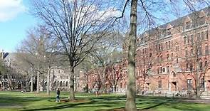 49 classement des Yale University  2024