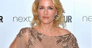 Who are Gillian Anderson's ex-husbands Julian Ozanne and Clyde Klotz?