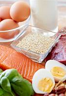 high protein diet foods