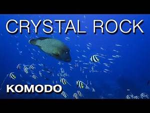 Amazing Marine life at Crystal Rock. Scuba Diving Komodo Islands.