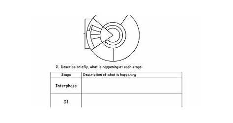 Cell Cycle Labeling Worksheet