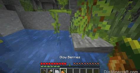 Minecraft How To Grow Glow Berries