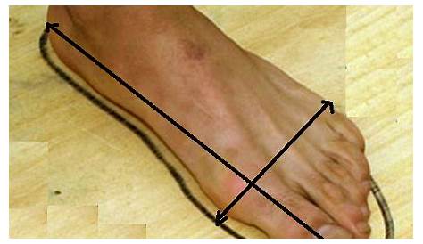 How to Measure the Foot Size