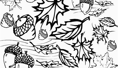Fall Harvest Coloring Page | Free Printable Coloring Pages - Free